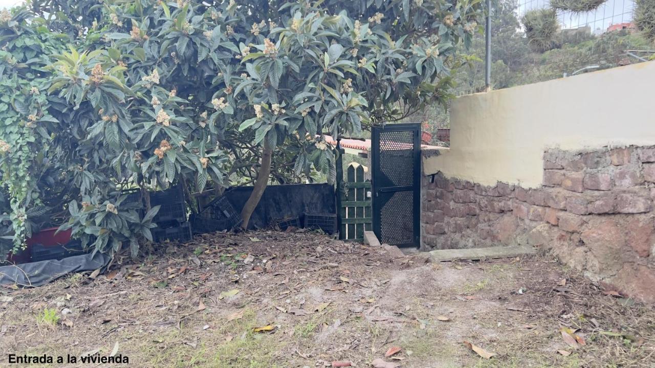 El Sarmiento Villa Tegueste Eksteriør bilde